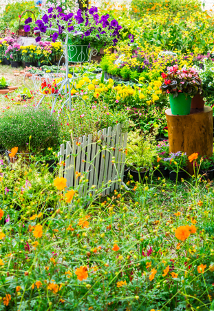 Vintage white bike and flowerpot in cozy home flower garden on summer.の写真素材