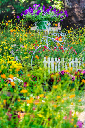 Vintage white bike and flowerpot in cozy home flower garden on summer.の写真素材