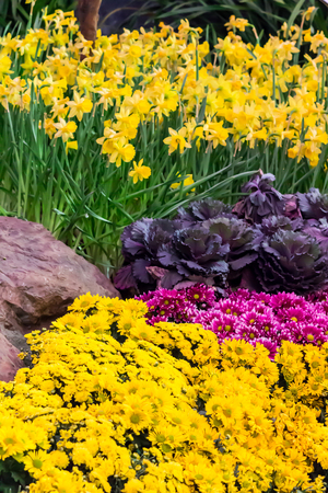 Variety of spring flowers and tulips blooming in beautiful cozy garden on summer.の写真素材