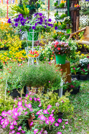 Vintage white bike and flowerpot in cozy home flower garden on summer.の写真素材