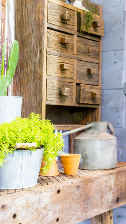 Relaxing area with garden object decoration on table in cozy garden.の写真素材