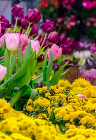 Variety of spring flowers and tulips blooming in beautiful cozy garden on summer.の写真素材