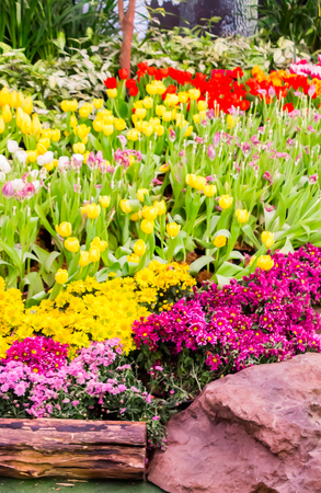 Variety of spring flowers and tulips blooming in beautiful cozy garden on summer.の写真素材