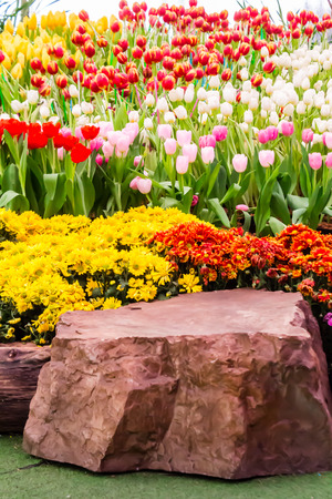 Variety of spring flowers and tulips blooming in beautiful cozy garden on summer.の写真素材