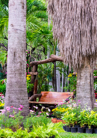 Wood chair in cozy flower garden and flower pot decoration on summer.の写真素材