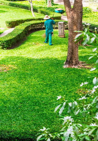 Gardenner sweep leaves and cleaning in cozy garden on summer.の写真素材
