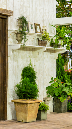 Relaxing area with table set and flower pot near window in cozy home.の写真素材