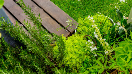 Wood pathway in cozy garden with flower and plant.