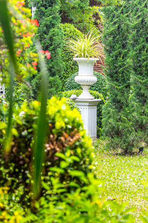 Gothic flower pot in cozy garden on summer.の写真素材