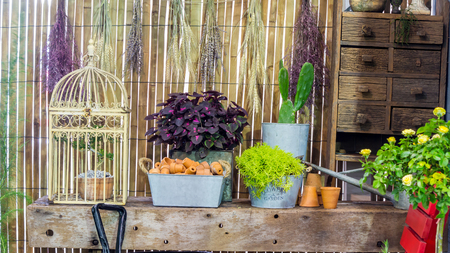 Relaxing area with garden object decoration on shelf in cozy home flower garden on summer.の写真素材