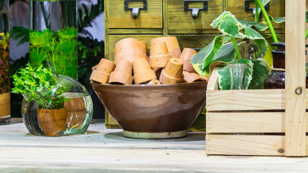 Antique flower pot in cozy garden.の写真素材