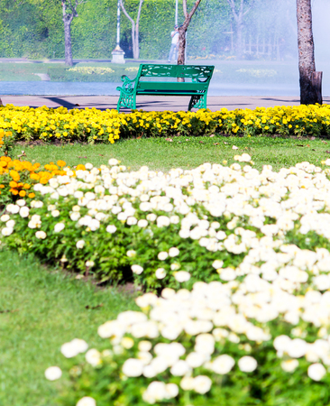 Green chair in cozy home flower garden and flower pot decoration on summer.の写真素材