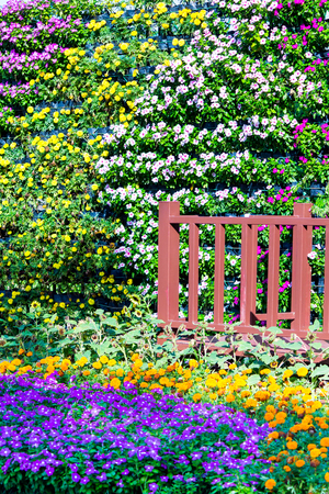 Wood bridge in cozy home flower garden and flower pot decoration on summer.の写真素材