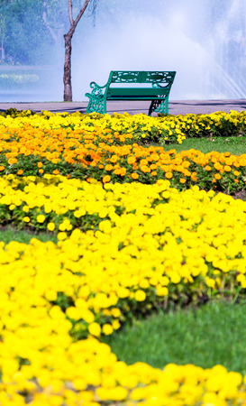 Green chair in cozy home flower garden and flower pot decoration on summer.の写真素材