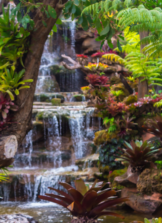 Waterfall flows through cozy home flower garden after rain.の写真素材