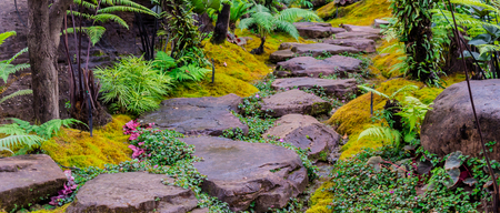 Panorama stone steps and green moss decoration in japanese cozy home flower garden after rain.の写真素材