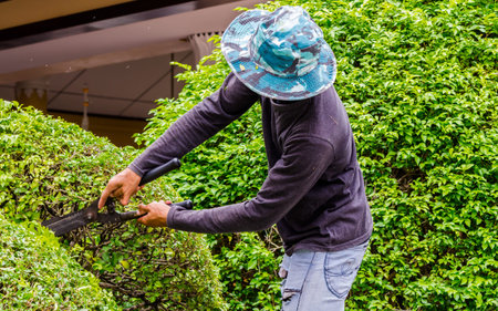Gardener pruning bushes with expertise in cozy home garden on summer.