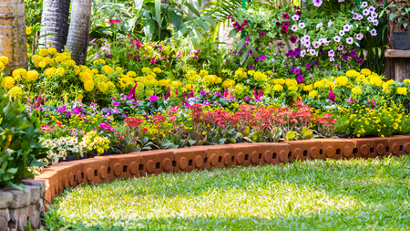 Flower pot decoration in cozy home flower garden on summer.の写真素材