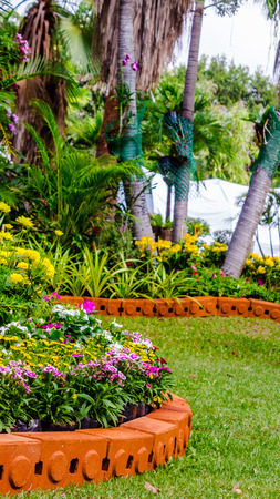 Flower pot decoration in cozy home flower garden on summer.の写真素材