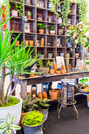 Working space and shelf with garden tools in cozy home garden on summer.の写真素材