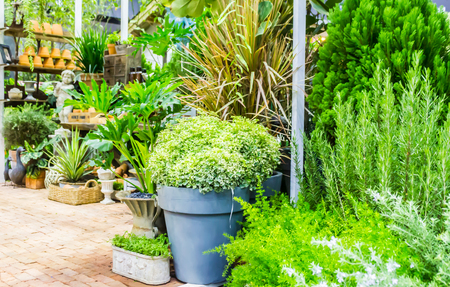 Working space and shelf with garden tools in cozy home garden on summer.の写真素材