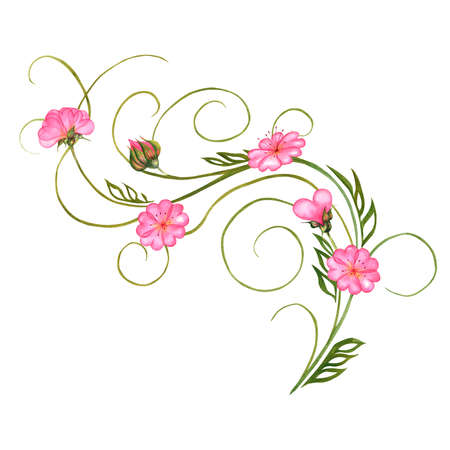 Pink rosy soft tender gentle flowers heart-shaped watercolor picture hearts hand drawn Valentines Day wedding loveの写真素材