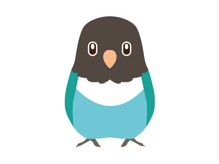 Lilian's Lovebird