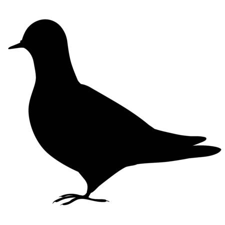 silhouette of a simple dove facing left. Whole body.のイラスト素材
