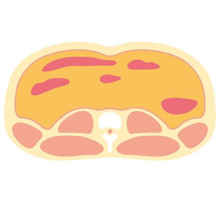 abedomenのイラスト素材
