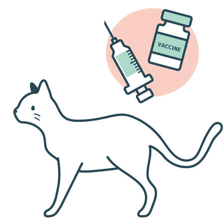 Standing cat to be vaccinated. animal Hospital.のイラスト素材