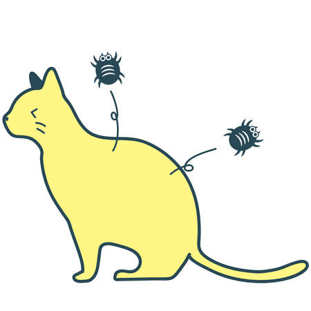 An illustration of itching because mites and fleas are parasitic on cats.のイラスト素材