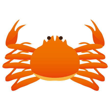 Illustration of a simple crab.のイラスト素材