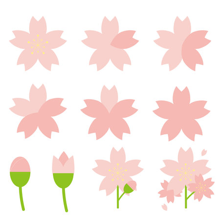 Cherry blossom meter icon set. Bloom status and forecastのイラスト素材
