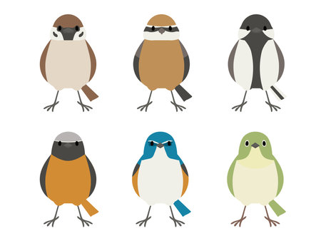 A set of illustrations of cute deformed wild birds.のイラスト素材