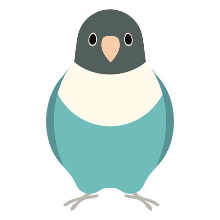 Illustration of a lovebird facing front.のイラスト素材