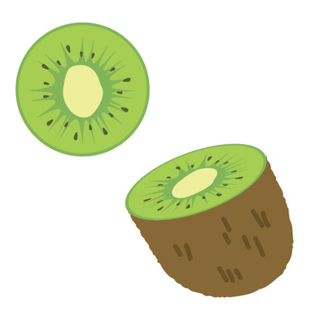 Kiwifruit. Cross section is visible.のイラスト素材