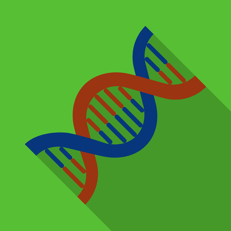Vector illustration. Icon square shape of human DNA in flat designのイラスト素材