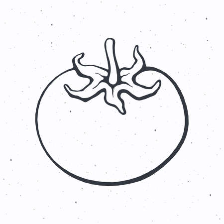 Tomato with a stem. Healthy vegetarian food. Ingredient for vegetable salad. Vector illustration. Only outline Isolated on white background. Clip art for packaging, label, menu, signboard, showcaseのイラスト素材