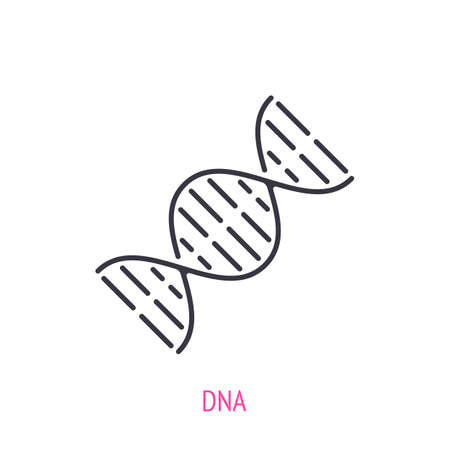 DNA helix. Outline icon. Vector illustration. Molecule spiral with genetic code. Symbols of scientific research and education. Thin line pictogram for user interface. Isolated white backgroundのイラスト素材
