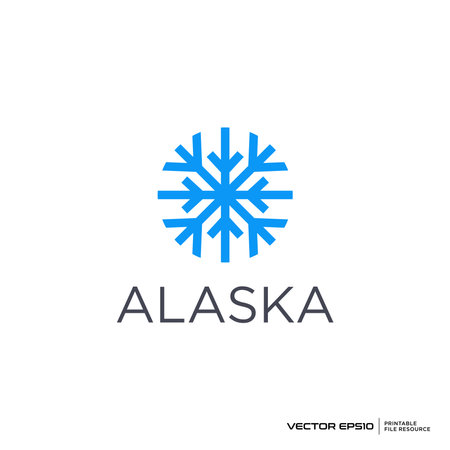 Snowflake icon logo vector illustrationのイラスト素材