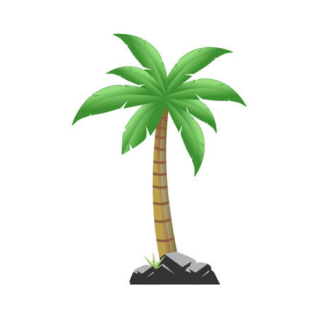 Palm trees isolated on white background. Beautiful vectro palma tree vector illustrationのイラスト素材