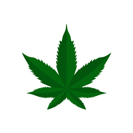 Marijuana weed leaf pot vector icon cannabis symbol. Modern simple flat vector illustration for web site or mobile appのイラスト素材