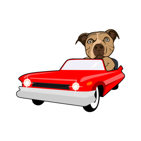 Dog Driving Car Cartoon Vector Icon Illustration. Animal Transportation Icon Concept Isolated Premium Vector. Flat Cartoon Styleのイラスト素材