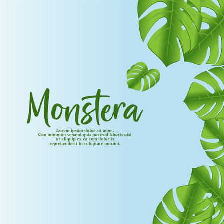 Monstera leaves border frame template on white background. Vector design illustration.のイラスト素材