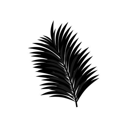 Christmas tree vector branches, holiday decoration, black winter symbols isolated on white background. Nature illustrationのイラスト素材