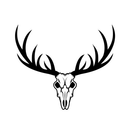 Deer skull head. Vector illustration on white backgroundのイラスト素材
