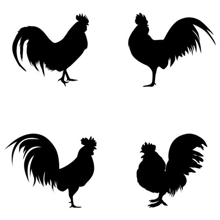 Rooster silhouette. Hen bird element illustration in simple flat style isolated on white backgroundのイラスト素材