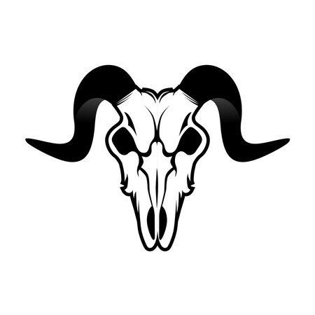 Mountain goat skull with black horns on white backgroundのイラスト素材