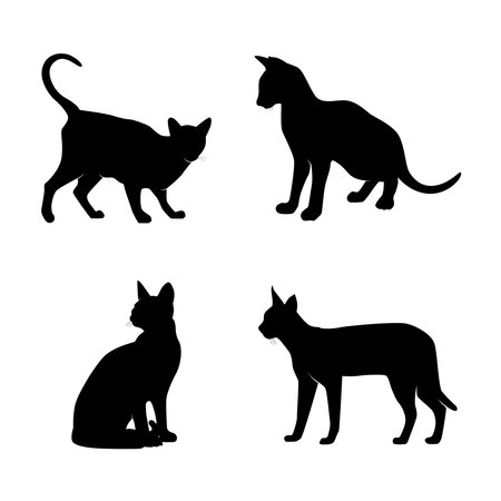 Set of cats Silhouettes on a white backgroundのイラスト素材