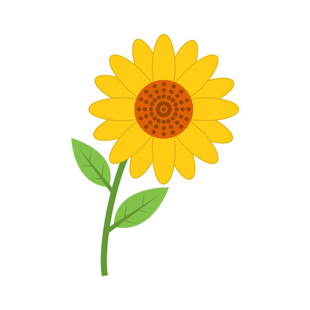 Sun Flower Vector Art on white Backgroundのイラスト素材